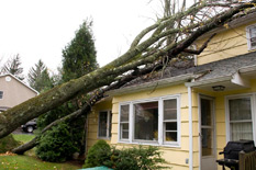Do You Need Emergency Home Repairs in Anne Arundel County?